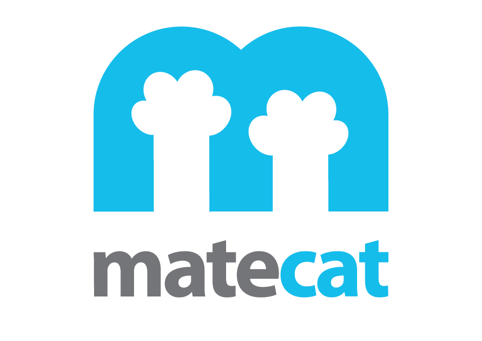 Alternative Text